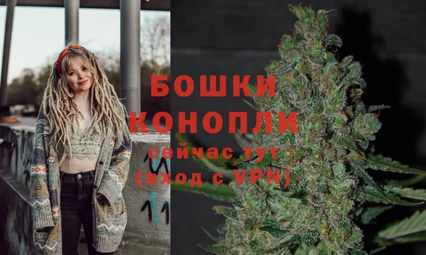 ГАЛЛЮЦИНОГЕННЫЕ ГРИБЫ Снежногорск