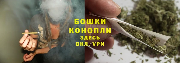 дживик Снежинск