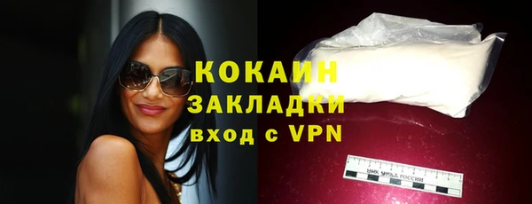 ГАЛЛЮЦИНОГЕННЫЕ ГРИБЫ Снежногорск