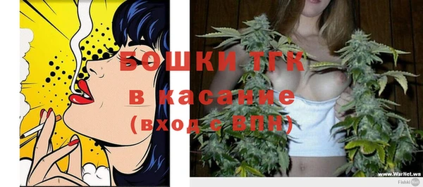 дживик Снежинск