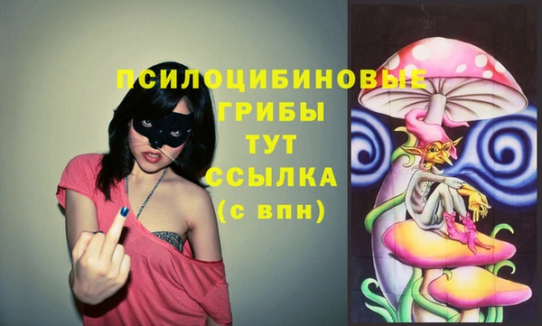 ГАЛЛЮЦИНОГЕННЫЕ ГРИБЫ Снежногорск