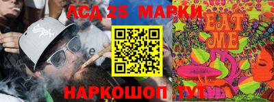 индика Партизанск