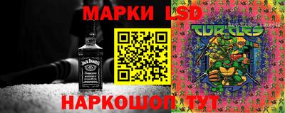 индика Партизанск