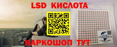 индика Партизанск