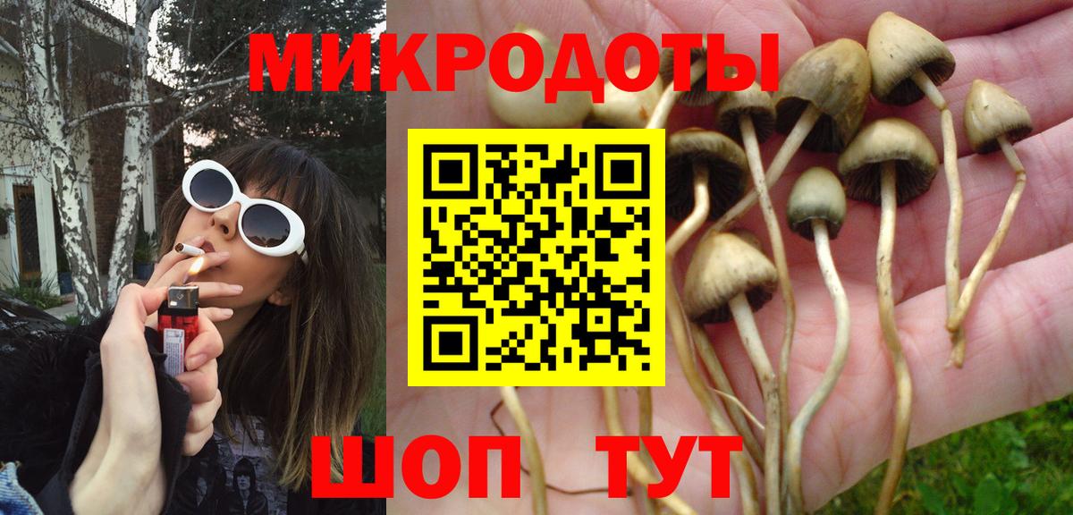 Сафоново  Галлюциногенные грибы ЛСД  Галлюциногенные грибы Psilocybine cubensis  Вход с VPN 